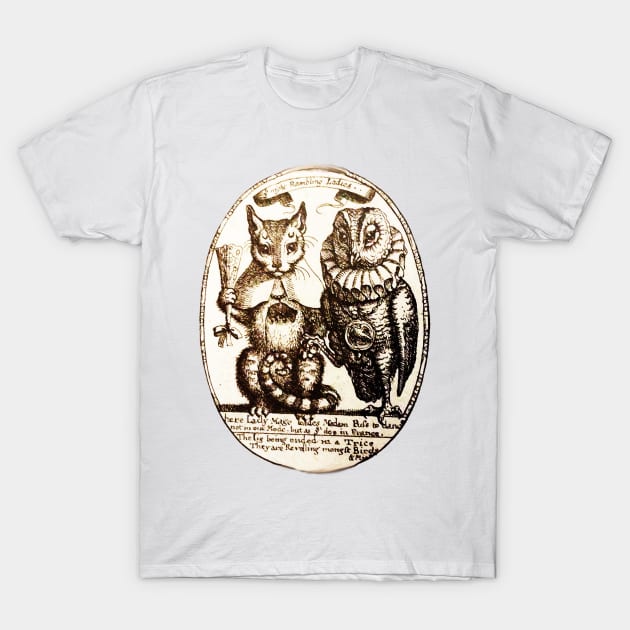 Night Rambling Ladies THE CAT AND THE OWL T-Shirt by BulganLumini